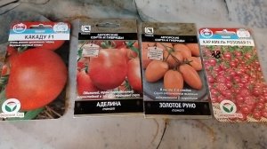 Посев помидоров по -бабушкински 🍅 27.03.26.Делюсь опытом.