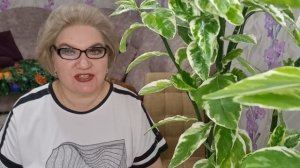 3 часть. Вместе в гадостях и горестях❗️