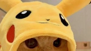 новый тренд #повторяй тренд#