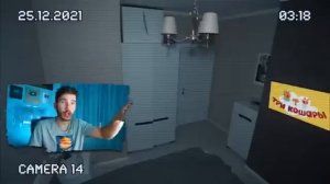 Заснял ТРИ КОТА на СКРЫТЫЕ КАМЕРЫ! *три кота с даркнет*