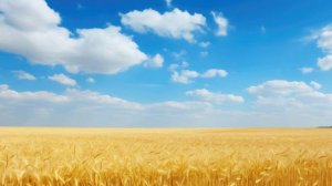 Лаодикия.   Вероника