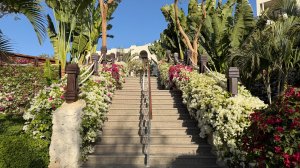 Стоит ли ехать сейчас? Обстановка и погода в марте 2026 в Египте 🇪🇬Шарм-эль-Шейх.