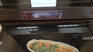 Котельнич :65 000 000 лет до нашей эры 😀