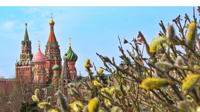 МГСВ новости недели 30.03.2026