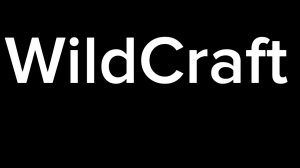 WildCraft делаю арт