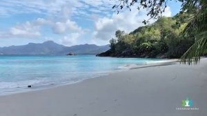 Йога-НИДРА для СНА и СНЯТИЯ СТРЕССА Медитация на волнах йогадудина