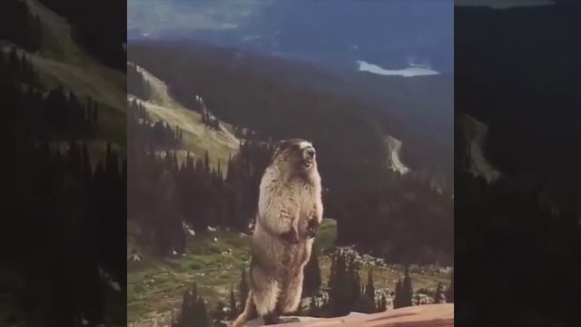 когда нет настроения