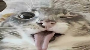 ПРИКОЛ|НАД МАСТЕРОМ РУСЛАНОМ[ДЕВЧОНКОЙ]|