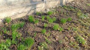 Утро сегодняшнего дня.😉🌅 👋