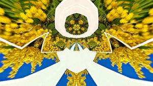 Весна! Мимозы для моей очаровательной ЗАНОЗЫ 8! Киностудия Мудрого Кота Тимофея!