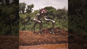 Фильм на вечер !