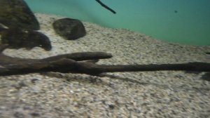 ПЕРЕГЛЯДКИ).Видео Татьяны Крестьянсковой