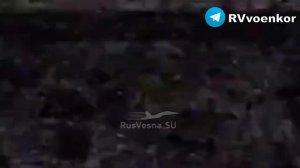 ‼️🇷🇺«🅾️тважные» громят технику и пехоту врага в боях за Покровском, Мирноградом и в Днепропетровс