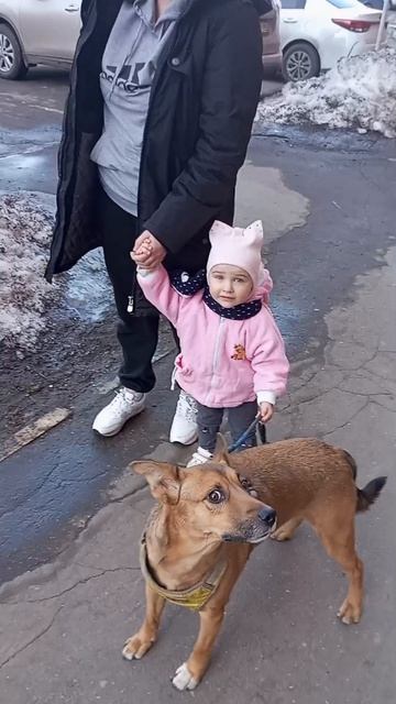 сфотографироваланазывается