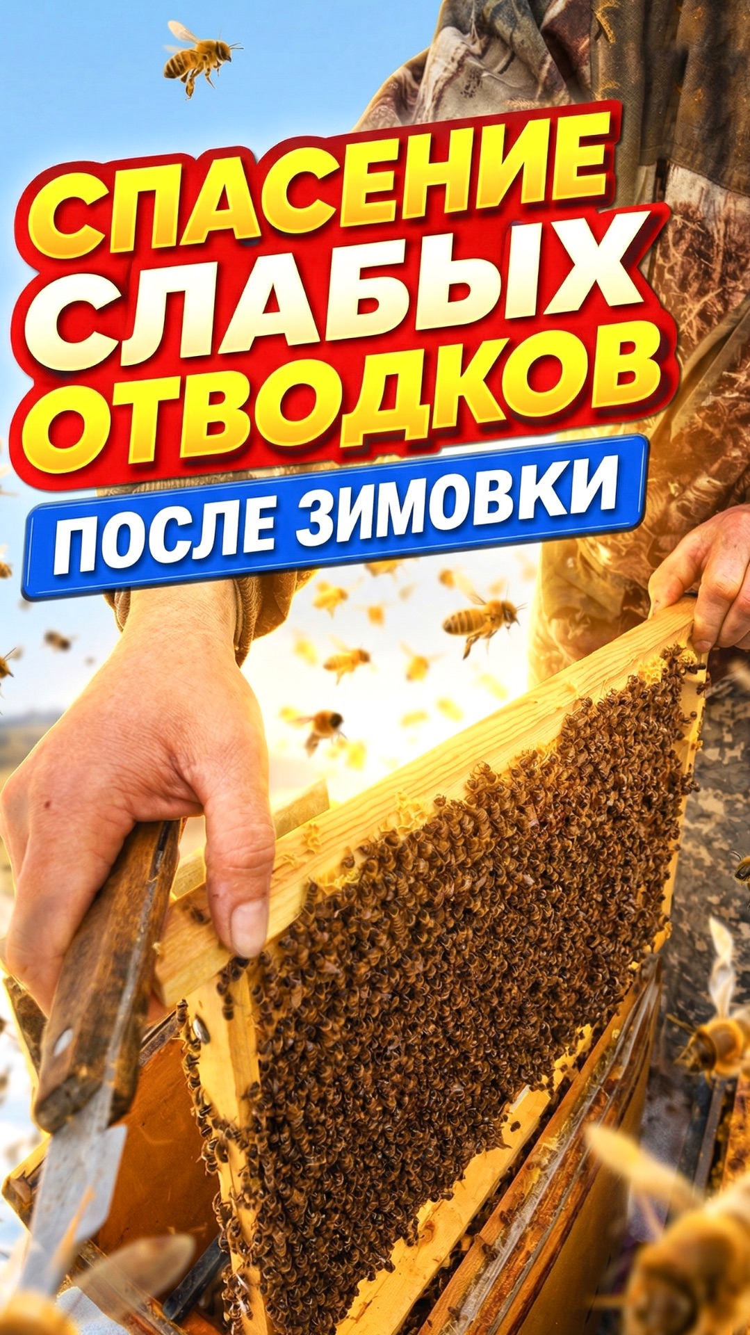 Спасение слабых отводков после зимовки