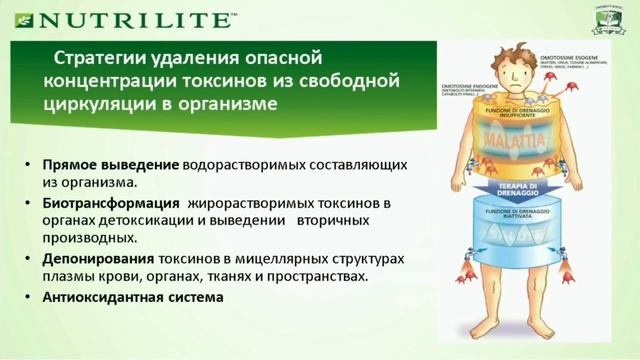 6 часть. Каким образом организм может бороться с токсинами? смотреть онлайн