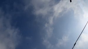 28.03.26 г. Андижанская порода голубей (1)