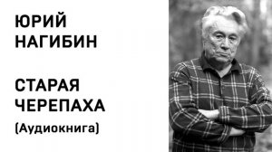 Юрий Нагибин Старая Черепаха Аудиокнига Слушать Онлайн