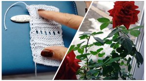 Мой контролёр😆 Мне пряжа понравилась🤗