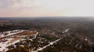 Лебеди возвращаются.