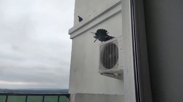 Небо из моего окна смотреть онлайн