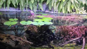 Свидание с летом