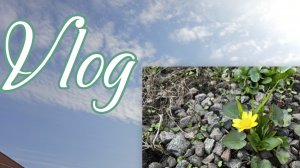 ВЕСНА  🥰МОЯ ИСТОРИЯ ВОЖДЕНИЯ🚗МАГАЗИНЫ/ПОКУПОЧКИ🛍