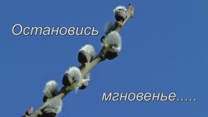 Остановись мгновенье....