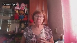 28.3.26. Весь день наперекосяк// кое-что всё равно получилось// крыска как живая