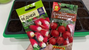 Эксперимент. Сею редис на ранний урожай «букетным» способом.