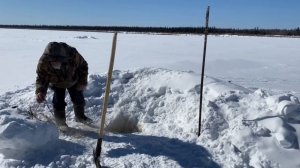 Сети и петли для пропитания (30 лет одиночества 73 серия)