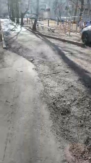 последний стрим