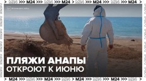 Новости регионов: пляжи Анапы могут открыть к 1 июня - Москва 24