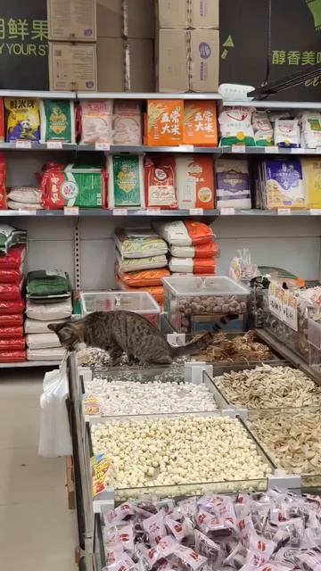 Добавка специй.