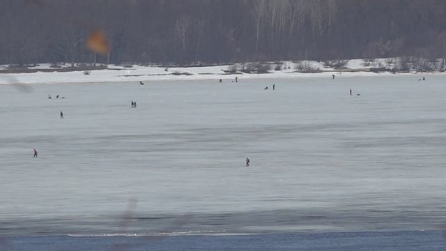 Где рыбачат Рыбаки Появилась открытая вода  Чебоксарская ГЭС Ковш 28 03 2026