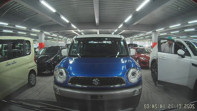 Осмотры автомобилей в Японии на стоянках для составления аукционных листов 2