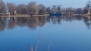 Как всегда 28 марта.