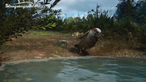 II Ежегодная осенняя международная онлайн-конференция Strogoorganic 2022