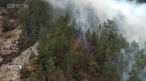 С первого апреля в Дагестане вводится особый противопожарный режим