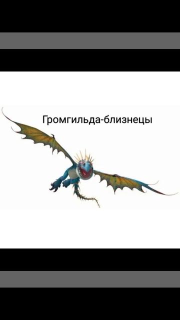 какой ты дракон по знаку зодиака