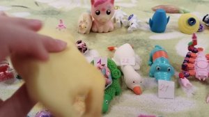 3 часть ставлю оценки своим сквишам и антистрессы