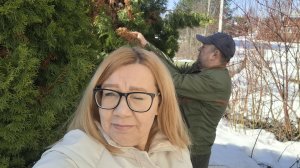 Мне кажется они растут даже зимой). Проведали дачу.