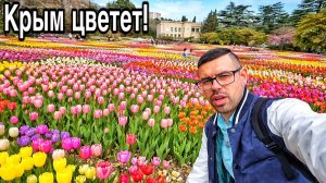 ЭТО ФЕЕРИЧНО! Парад 110 000 тюльпанов в Крыму 2026, когда ехать? Никитский Ботанический сад весной