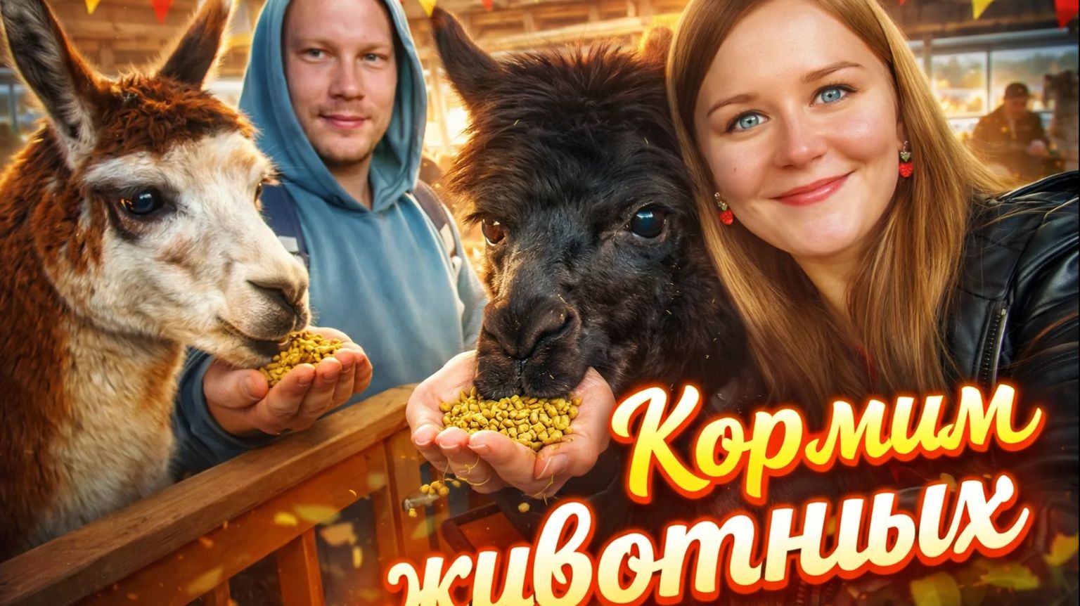 Кормим с рук Северного Оленя и Ламу/сходили на ферму животных на ВДНХ в Москве.