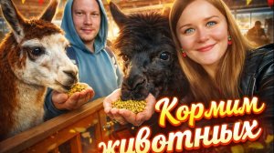 Кормим с рук Северного Оленя и Ламу/сходили на ферму животных на ВДНХ в Москве.