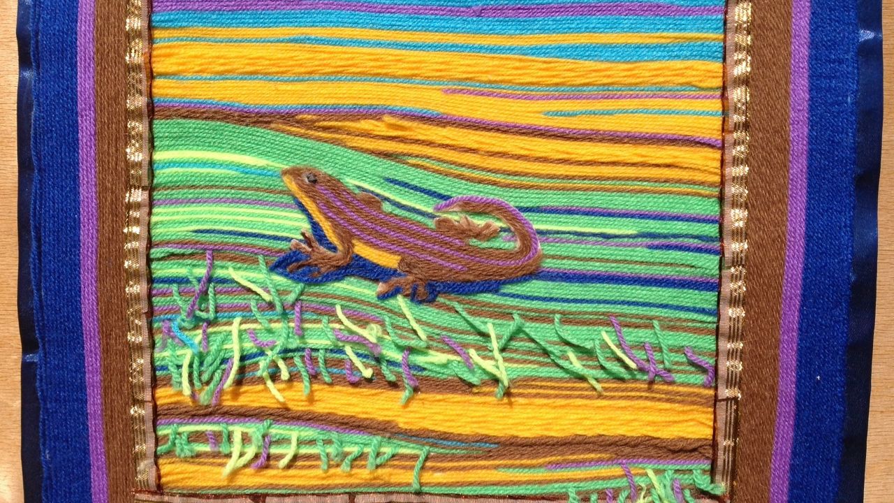 Работа с ворсом (ленивый гобелег)