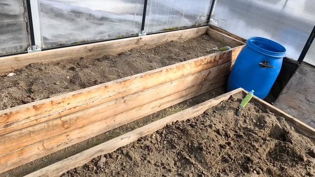 Редиску сеять ещё рано  🤣занимаюсь гномами🍅