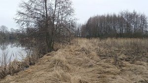 весна пришла