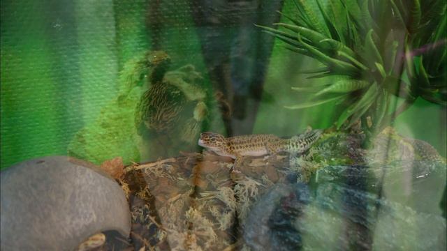 Музей все вверх дном и внутри человека Питер октябрь 2016