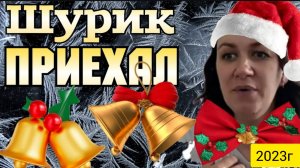 Деревенский дневник _Шурик приехал _Что происходит _Обзор Влогов _Мать-героиня _Леля Быкова _